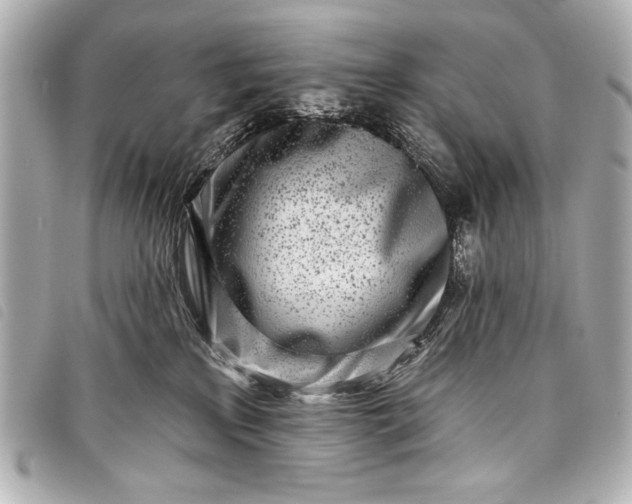 X0000098090233200804181244