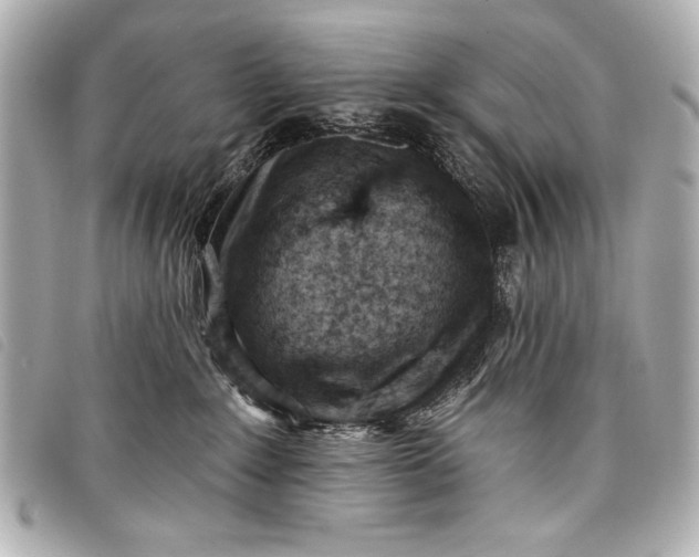 X0000098090235200804181244