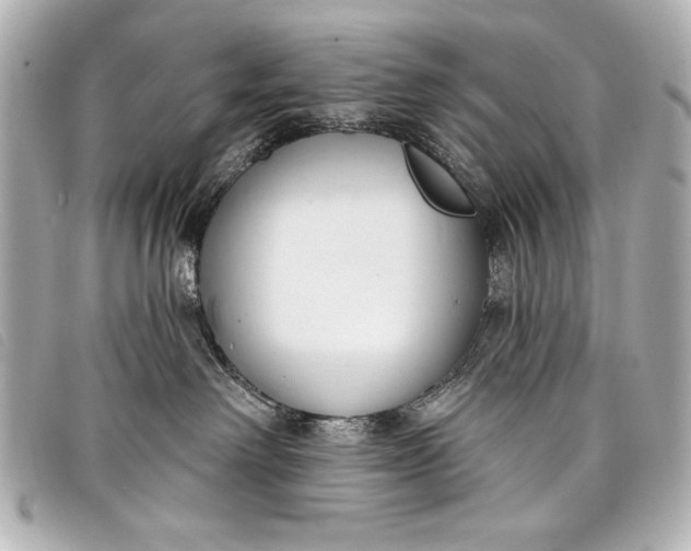 X0000098090238200804181244