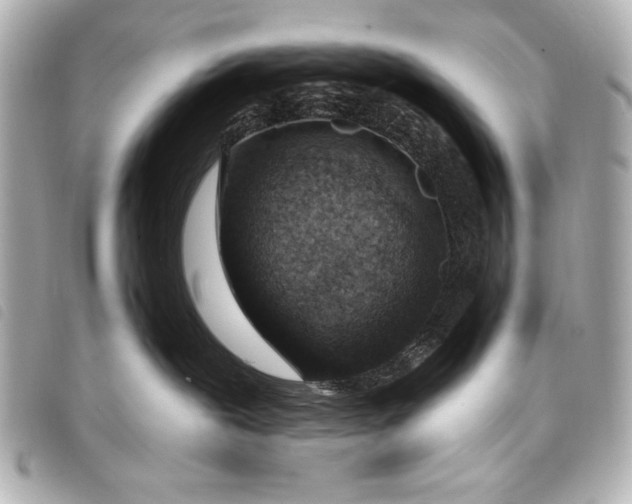 X0000098090239200804181244