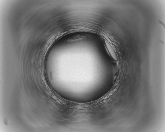 X0000098090241200804181243