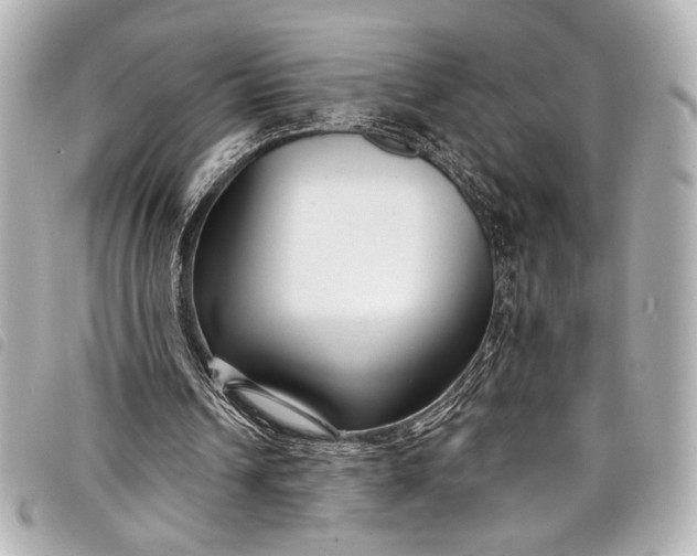 X0000098090242200804181243