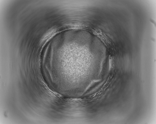 X0000098090243200804181243