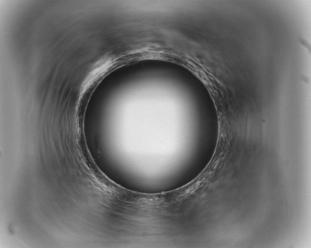 X0000098090245200804181243
