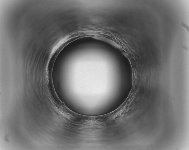 X0000098090246200804181243