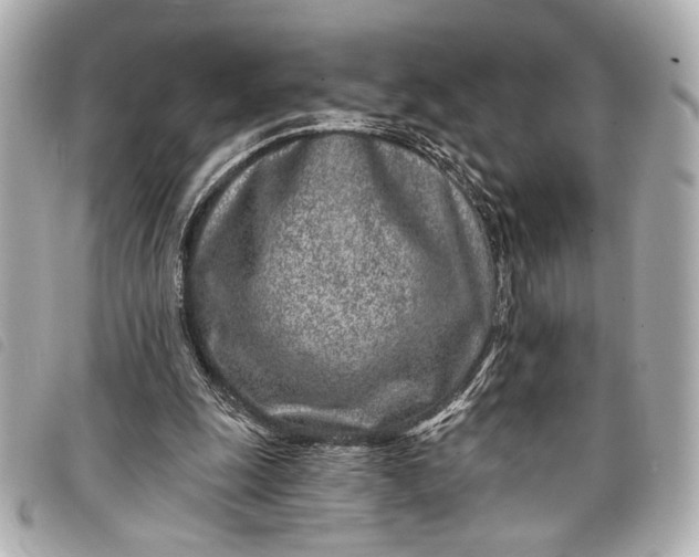 X0000098090247200804181243