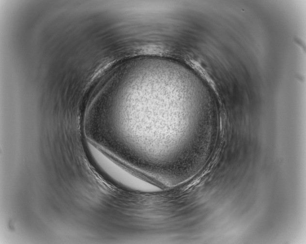X0000098090249200804181243
