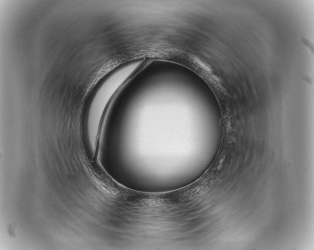 X0000098090250200804181243
