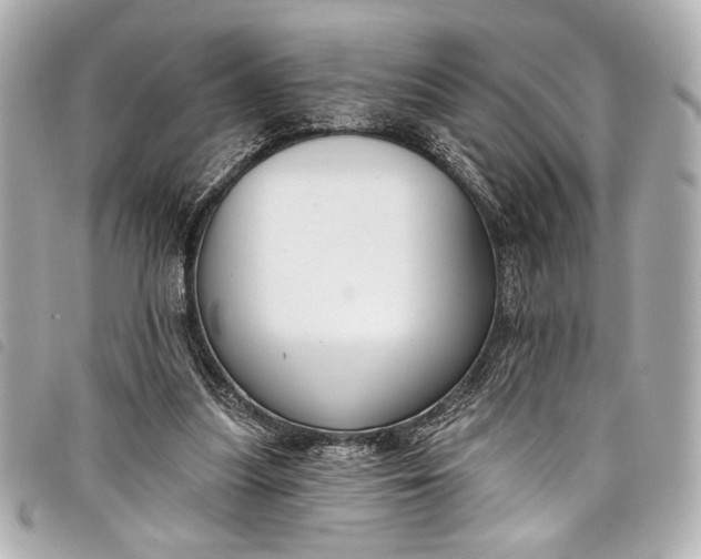 X0000098090251200804181243