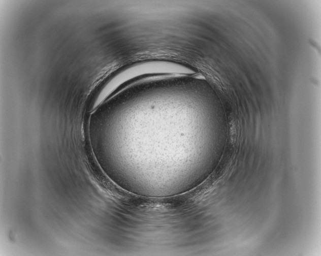 X0000098090254200804181243