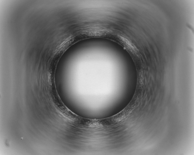 X0000098090258200804181243