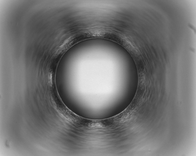 X0000098090262200804181243