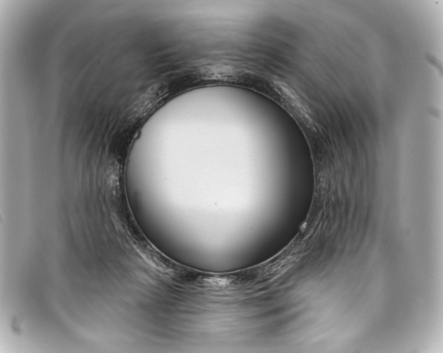 X0000098090265200804181243