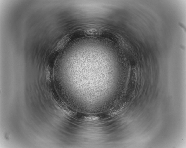 X0000098090266200804181243