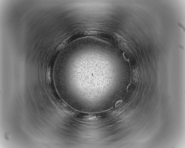 X0000098090267200804181243