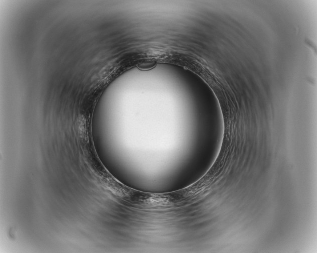 X0000098090270200804181243