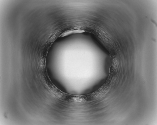 X0000098090272200804181243