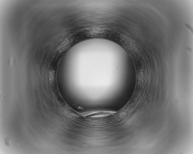 X0000098090278200804181244