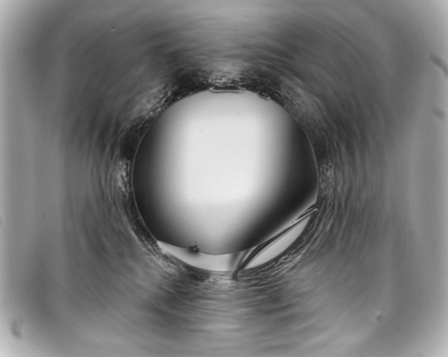 X0000098090280200804181244