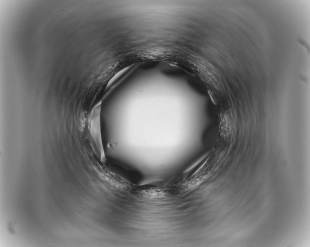 X0000098090284200804181244
