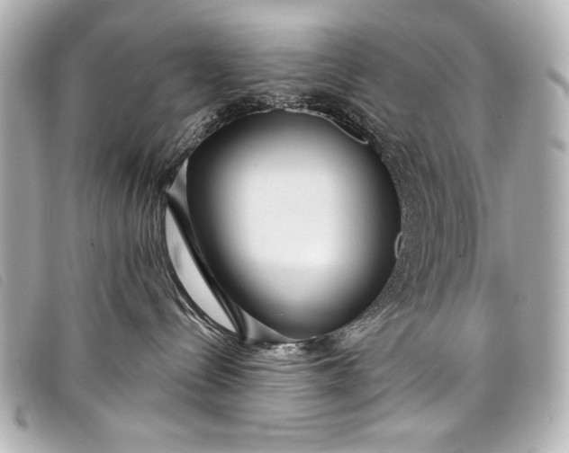 X0000098090288200804181244