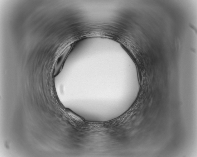 X0000098090289200804181243