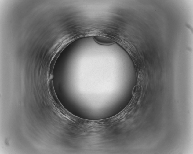 X0000098090290200804181243