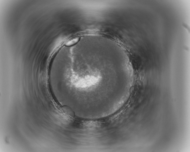 X0000098090293200804181243