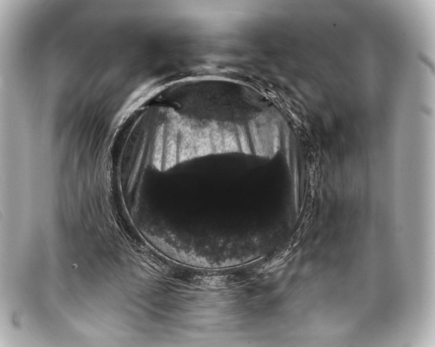 X0000098090295200804181243