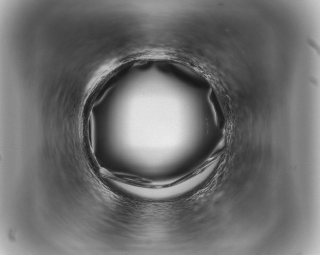 X0000098090296200804181243