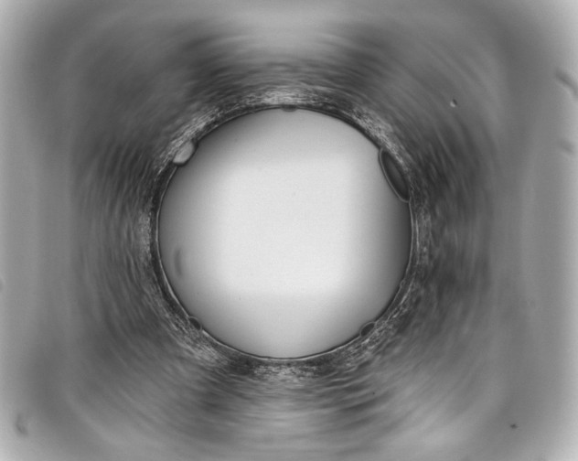 X0000098090297200804181243
