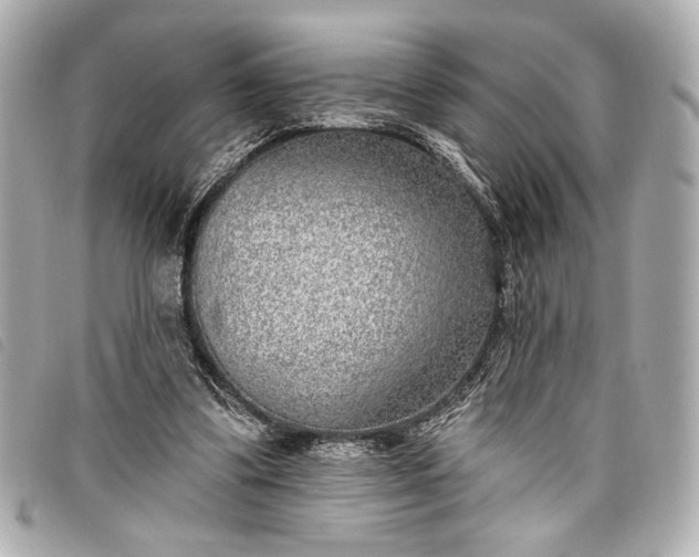 X0000098090299200804181243