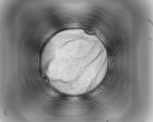 X0000098090301200804181243