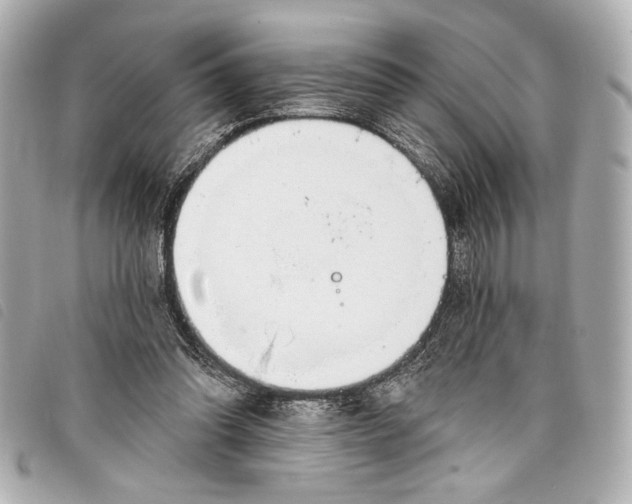 X0000098090302200804181243