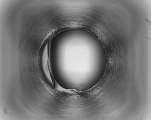 X0000098090304200804181243