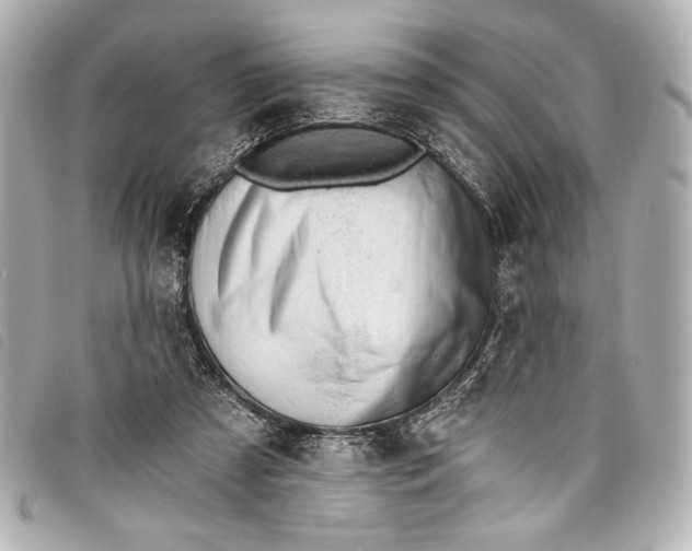 X0000098090305200804181243