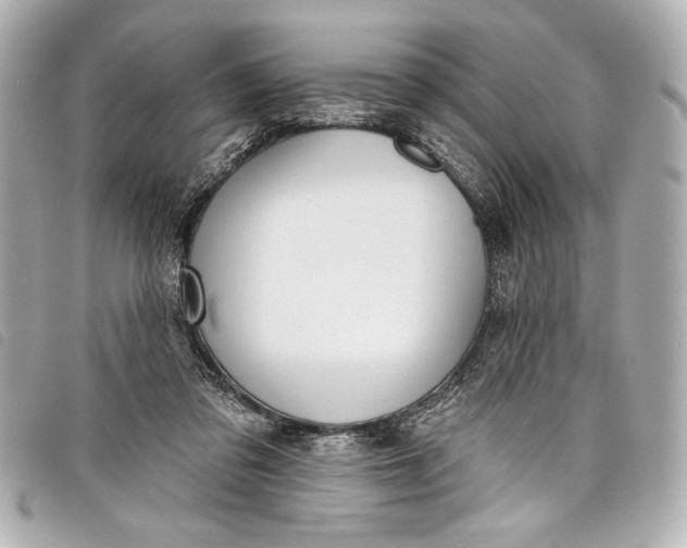 X0000098090309200804181243