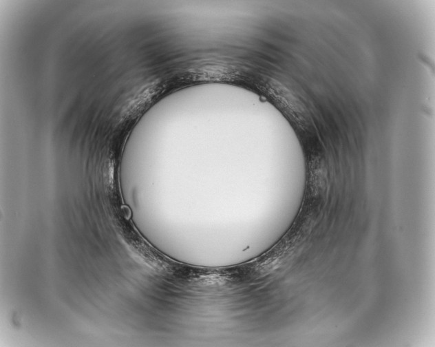 X0000098090310200804181243