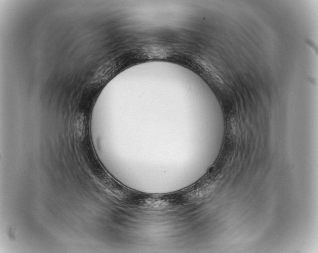 X0000098090311200804181242