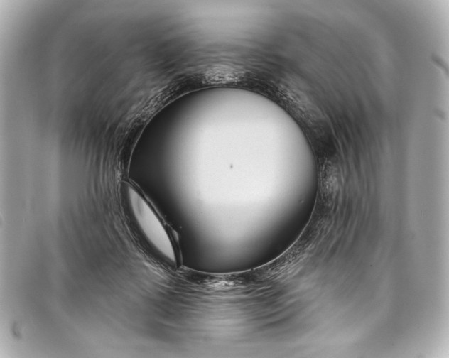 X0000098090315200804181242