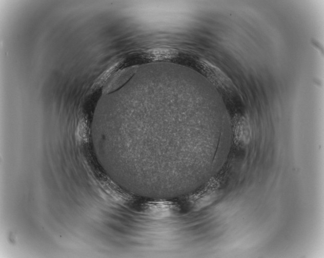 X0000098090316200804181242