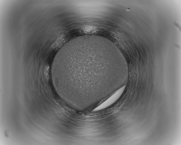 X0000098090319200804181242