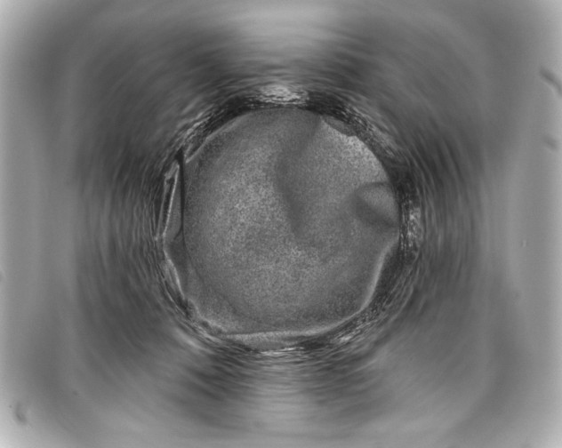 X0000098090320200804181242