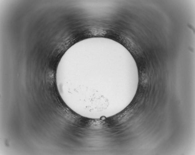 X0000098090321200804181242