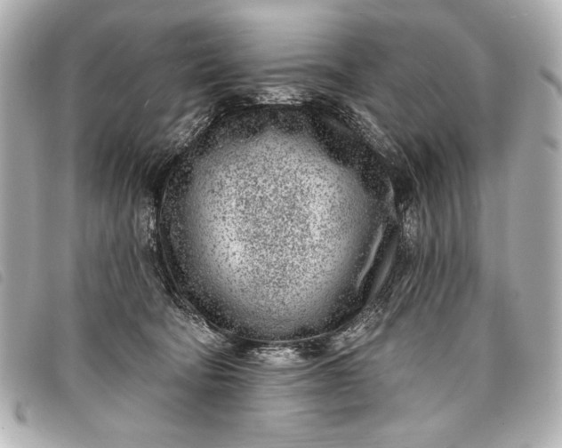 X0000098090322200804181242