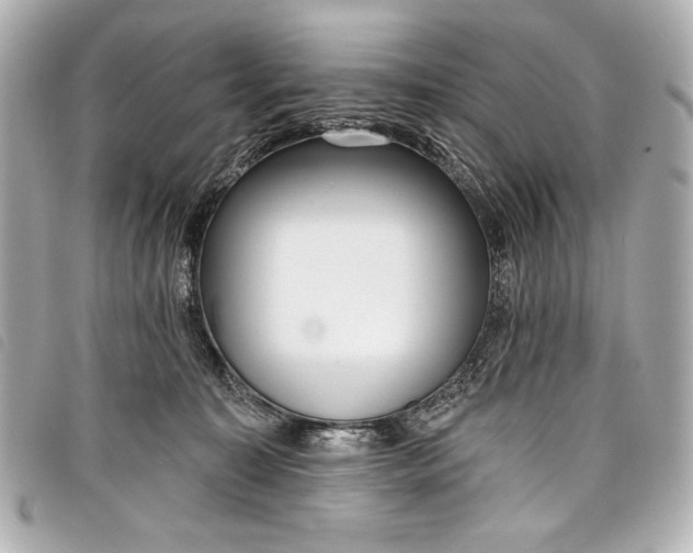 X0000098090323200804181242