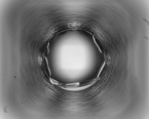 X0000098090324200804181242