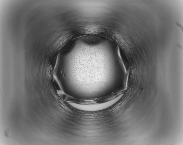 X0000098090325200804181242