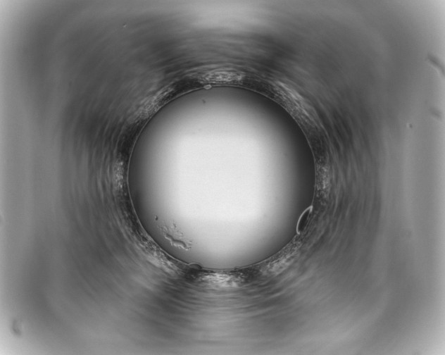X0000098090326200804181242