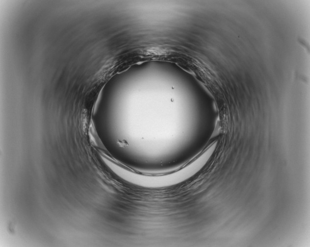 X0000098090328200804181242